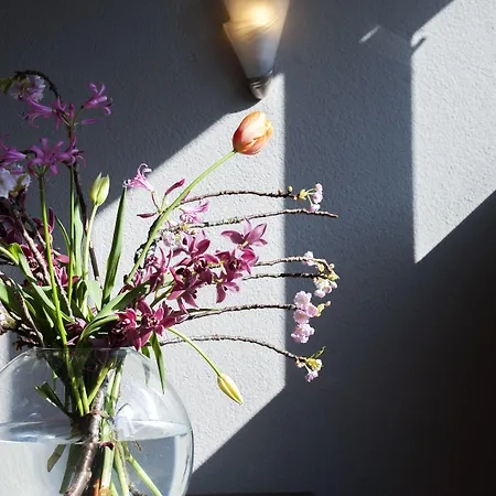 Ξενοδοχείο Emma